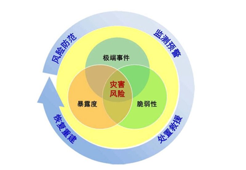 全面解析风险管理五大原则